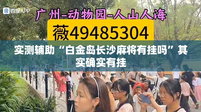 实测辅助“白金岛长沙麻将有挂吗”其实确实有挂