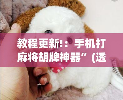 教程更新!：手机打麻将胡牌神器”(透视挂)辅助下载教程