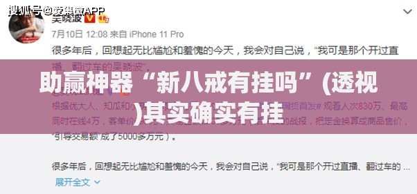 助赢神器“新八戒有挂吗”(透视)其实确实有挂