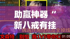 助赢神器“新八戒有挂吗”(透视)其实确实有挂