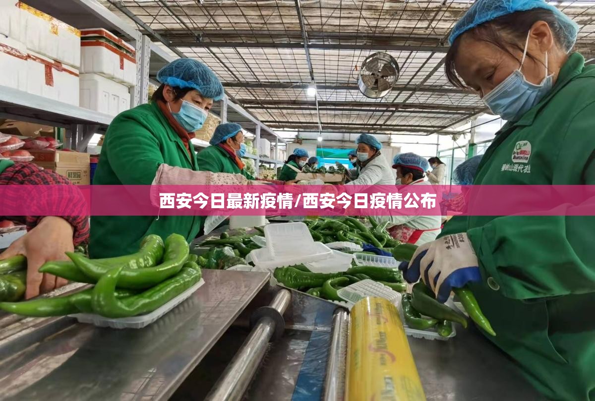 西安今日最新疫情/西安今日疫情公布