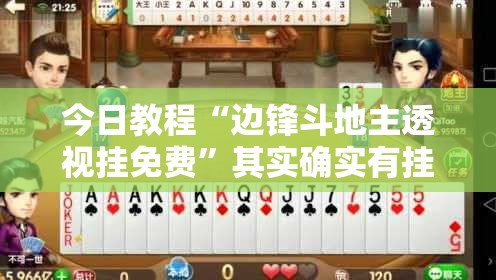 今日教程“边锋斗地主透视挂免费”其实确实有挂