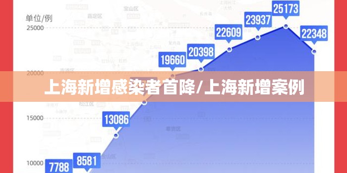 上海新增感染者首降/上海新增案例