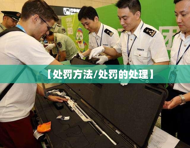 【处罚方法/处罚的处理】