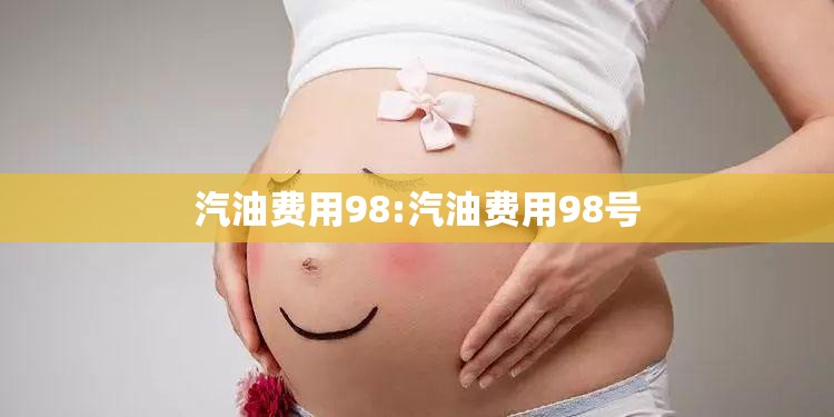 汽油费用98:汽油费用98号