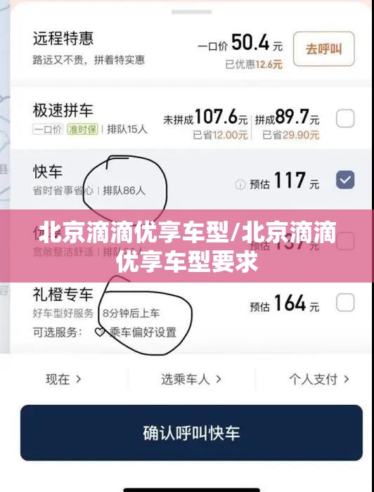 北京滴滴优享车型/北京滴滴优享车型要求