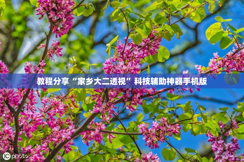 教程分享“家乡大二透视	”科技辅助神器手机版