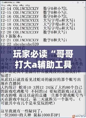 玩家必读“哥哥打大a辅助工具”详细开挂教程