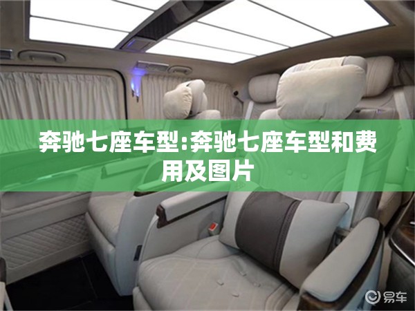 奔驰七座车型:奔驰七座车型和费用及图片
