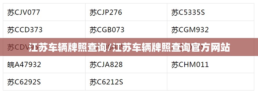 江苏车辆牌照查询/江苏车辆牌照查询官方网站