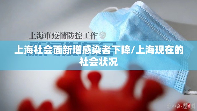 上海社会面新增感染者下降/上海现在的社会状况