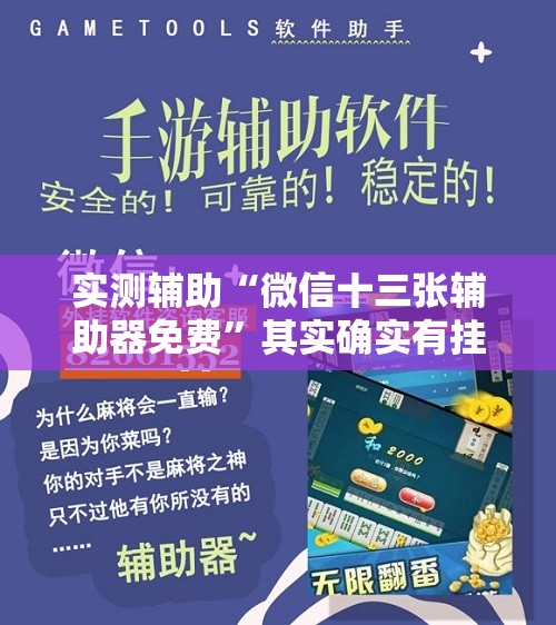 实测辅助“微信十三张辅助器免费”其实确实有挂