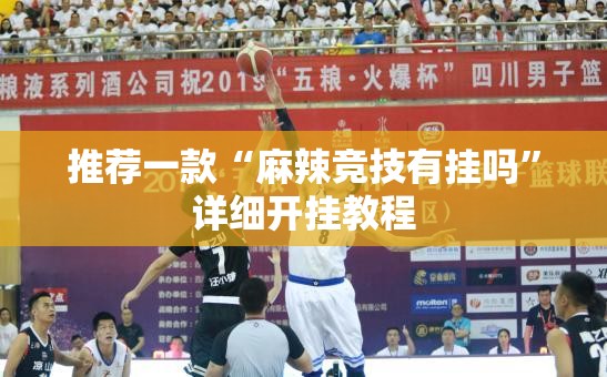 推荐一款“麻辣竞技有挂吗”详细开挂教程