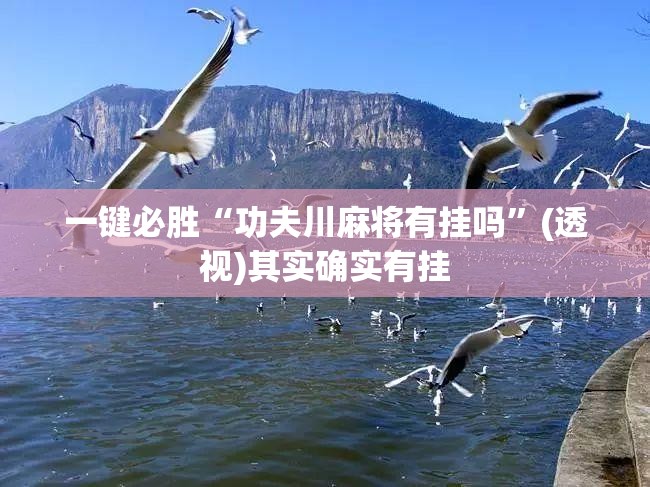 一键必胜“功夫川麻将有挂吗”(透视)其实确实有挂