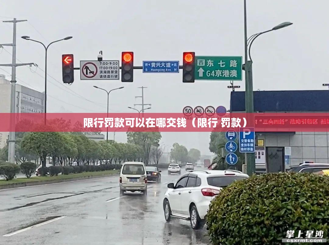 限行罚款可以在哪交钱（限行 罚款）