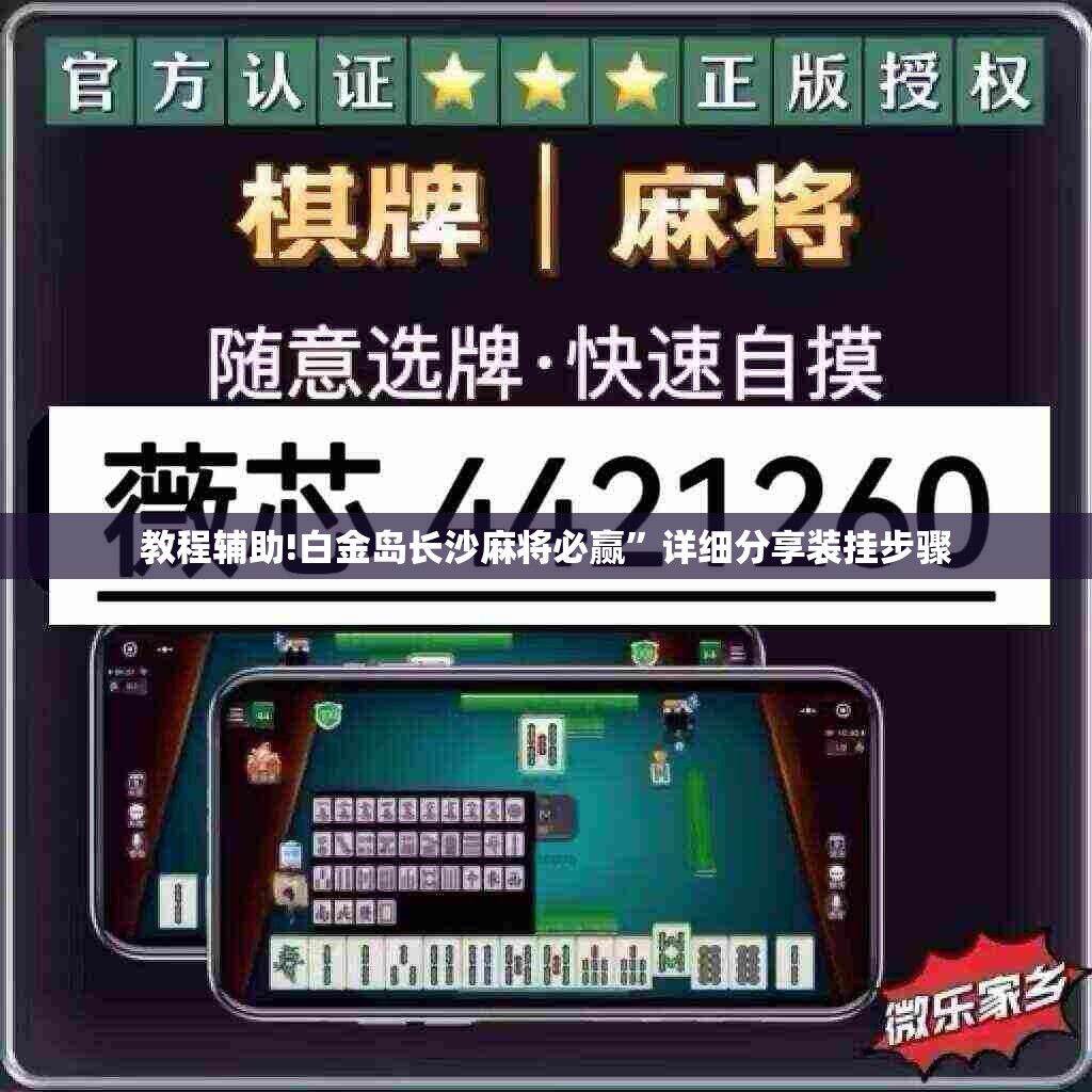 教程辅助!白金岛长沙麻将必赢	”详细分享装挂步骤