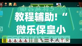 教程辅助!“微乐保皇小程序怎么抓好牌(透视)	”开挂辅助脚本+详细开挂安装教程
