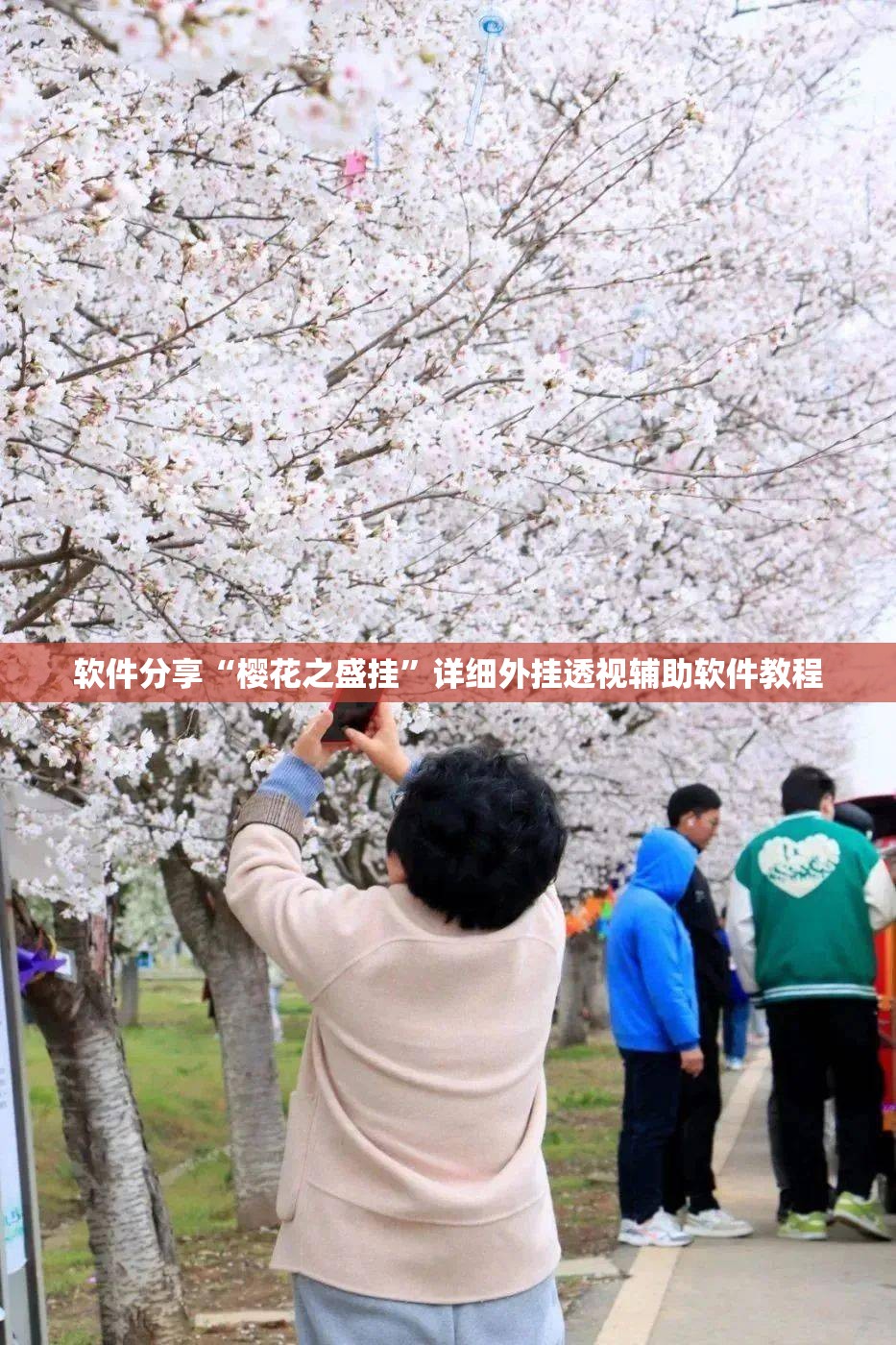 软件分享“樱花之盛挂”详细外挂透视辅助软件教程