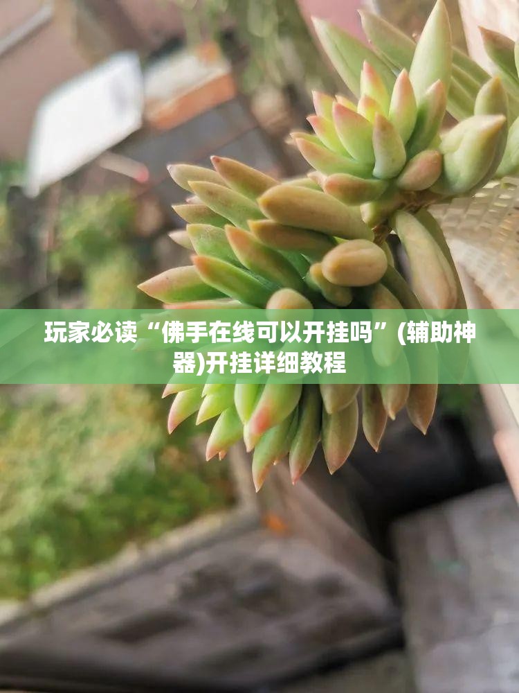 玩家必读“佛手在线可以开挂吗”(辅助神器)开挂详细教程