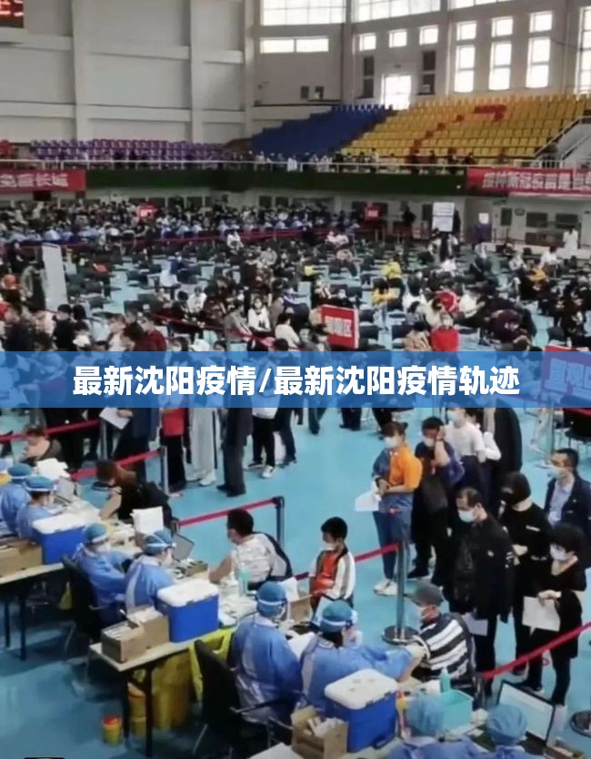 最新沈阳疫情/最新沈阳疫情轨迹