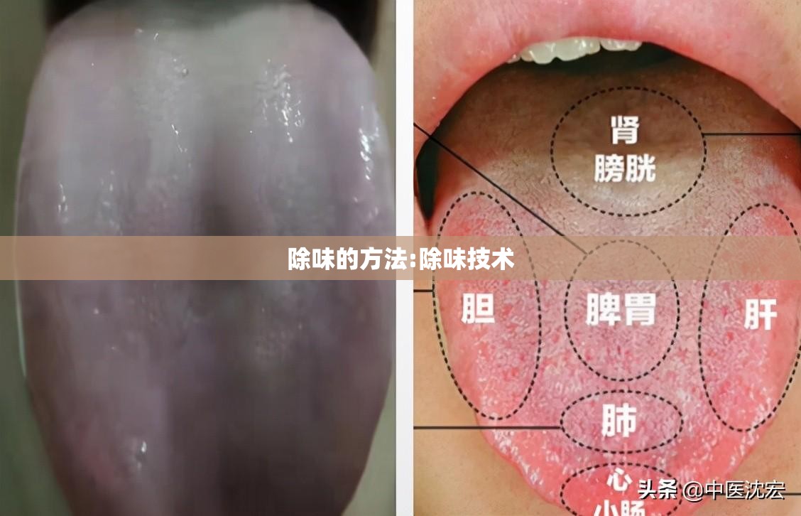 除味的方法:除味技术