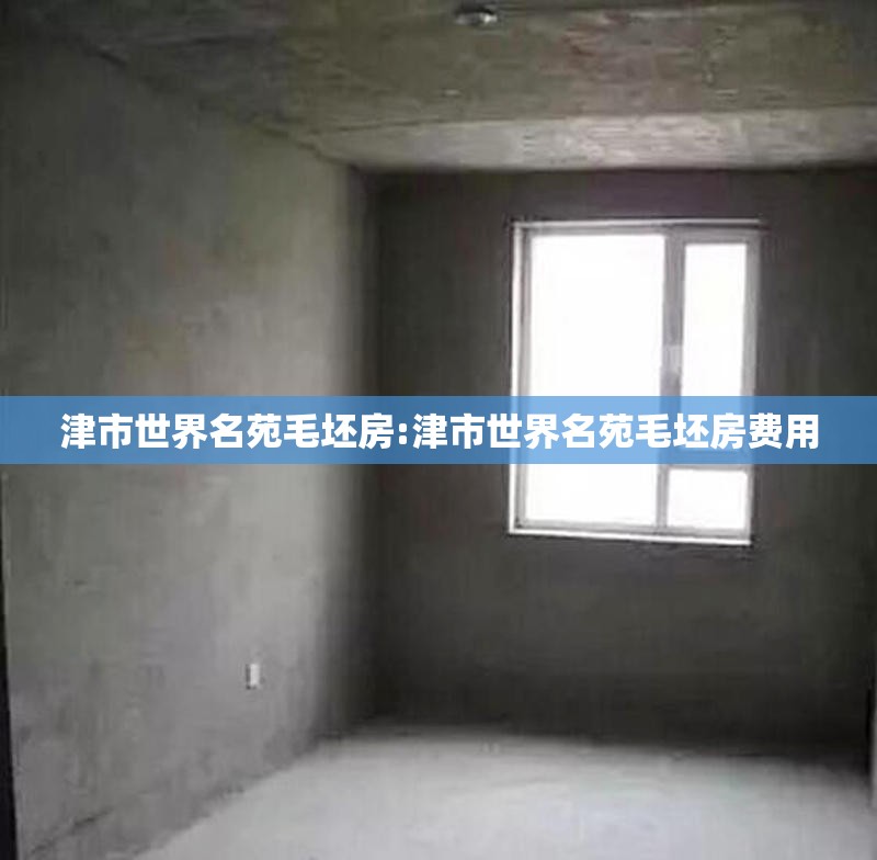 津市世界名苑毛坯房:津市世界名苑毛坯房费用