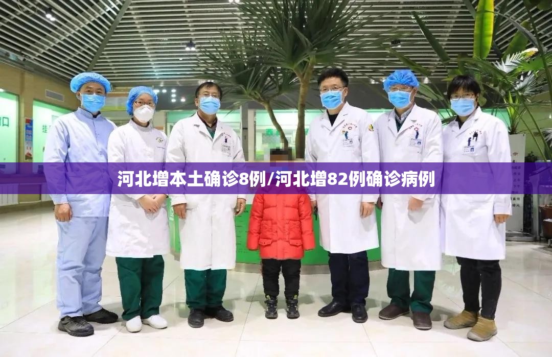 河北增本土确诊8例/河北增82例确诊病例