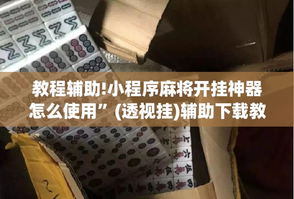 教程辅助!小程序麻将开挂神器怎么使用	”(透视挂)辅助下载教程