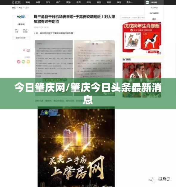 今日肇庆网/肇庆今日头条最新消息