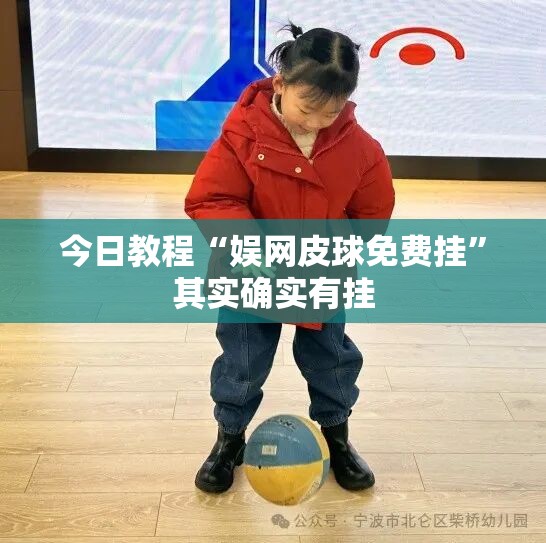 今日教程“娱网皮球免费挂	”其实确实有挂
