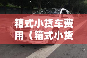 箱式小货车费用（箱式小货车费用二手）