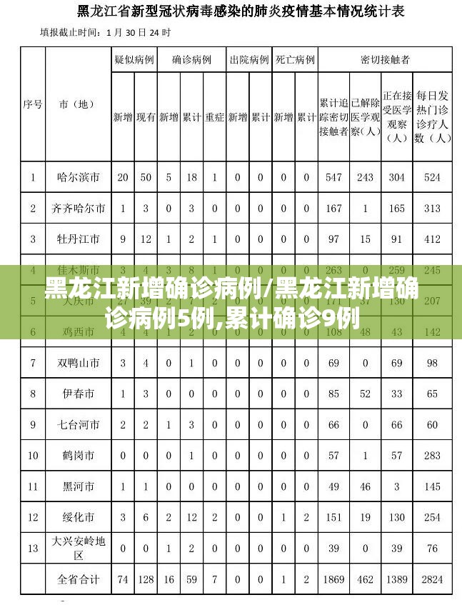 黑龙江新增确诊病例/黑龙江新增确诊病例5例,累计确诊9例