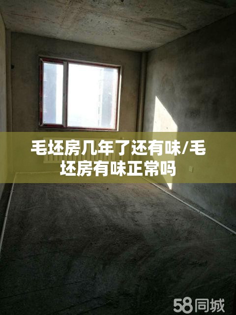 毛坯房几年了还有味/毛坯房有味正常吗