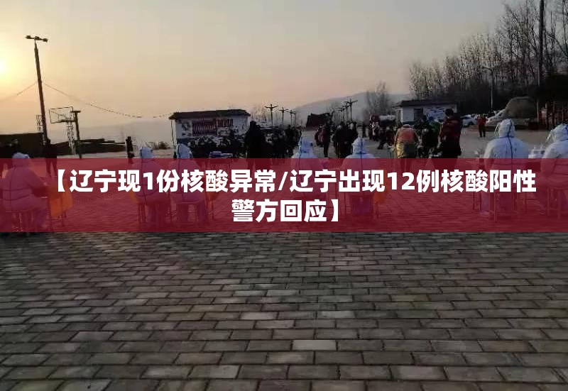 【辽宁现1份核酸异常/辽宁出现12例核酸阳性警方回应】