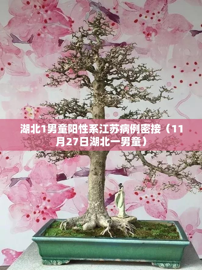 湖北1男童阳性系江苏病例密接（11月27日湖北一男童）