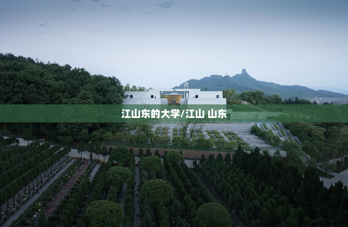 江山东的大学/江山 山东