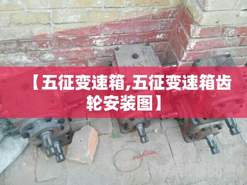 【五征变速箱,五征变速箱齿轮安装图】