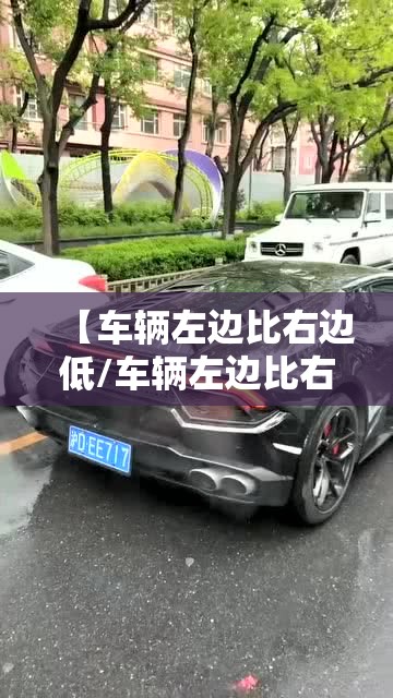 【车辆左边比右边低/车辆左边比右边低一点】