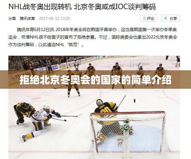 拒绝北京冬奥会的国家的简单介绍