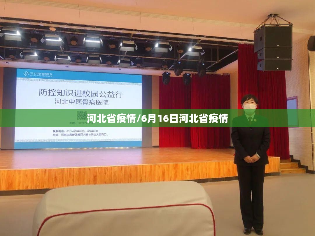 河北省疫情/6月16日河北省疫情
