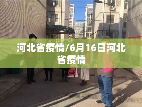 河北省疫情/6月16日河北省疫情