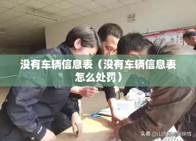 没有车辆信息表（没有车辆信息表怎么处罚）