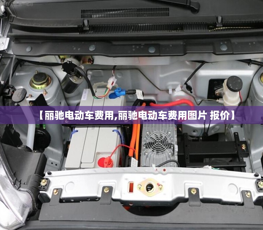 【丽驰电动车费用,丽驰电动车费用图片 报价】