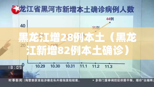 黑龙江增28例本土（黑龙江新增82例本土确诊）