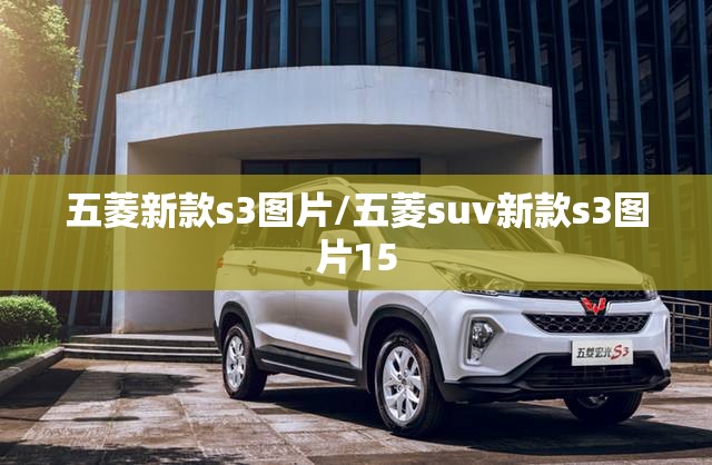 五菱新款s3图片/五菱suv新款s3图片15