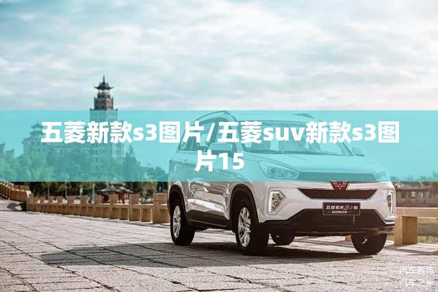 五菱新款s3图片/五菱suv新款s3图片15