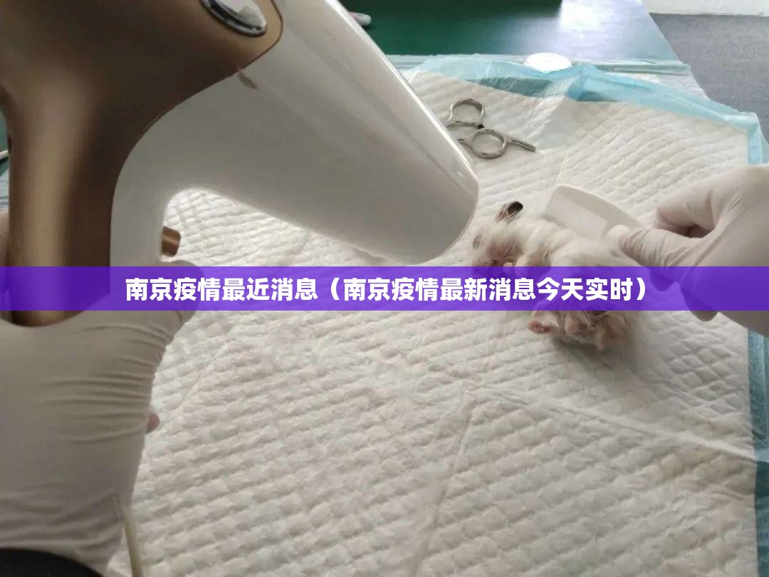 南京疫情最近消息（南京疫情最新消息今天实时）