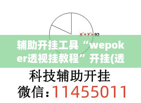 辅助开挂工具“wepoker透视挂教程”开挂(透视)辅助神器