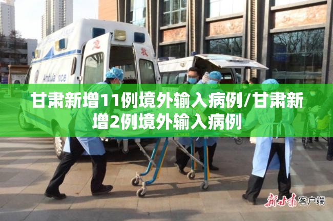 甘肃新增11例境外输入病例/甘肃新增2例境外输入病例