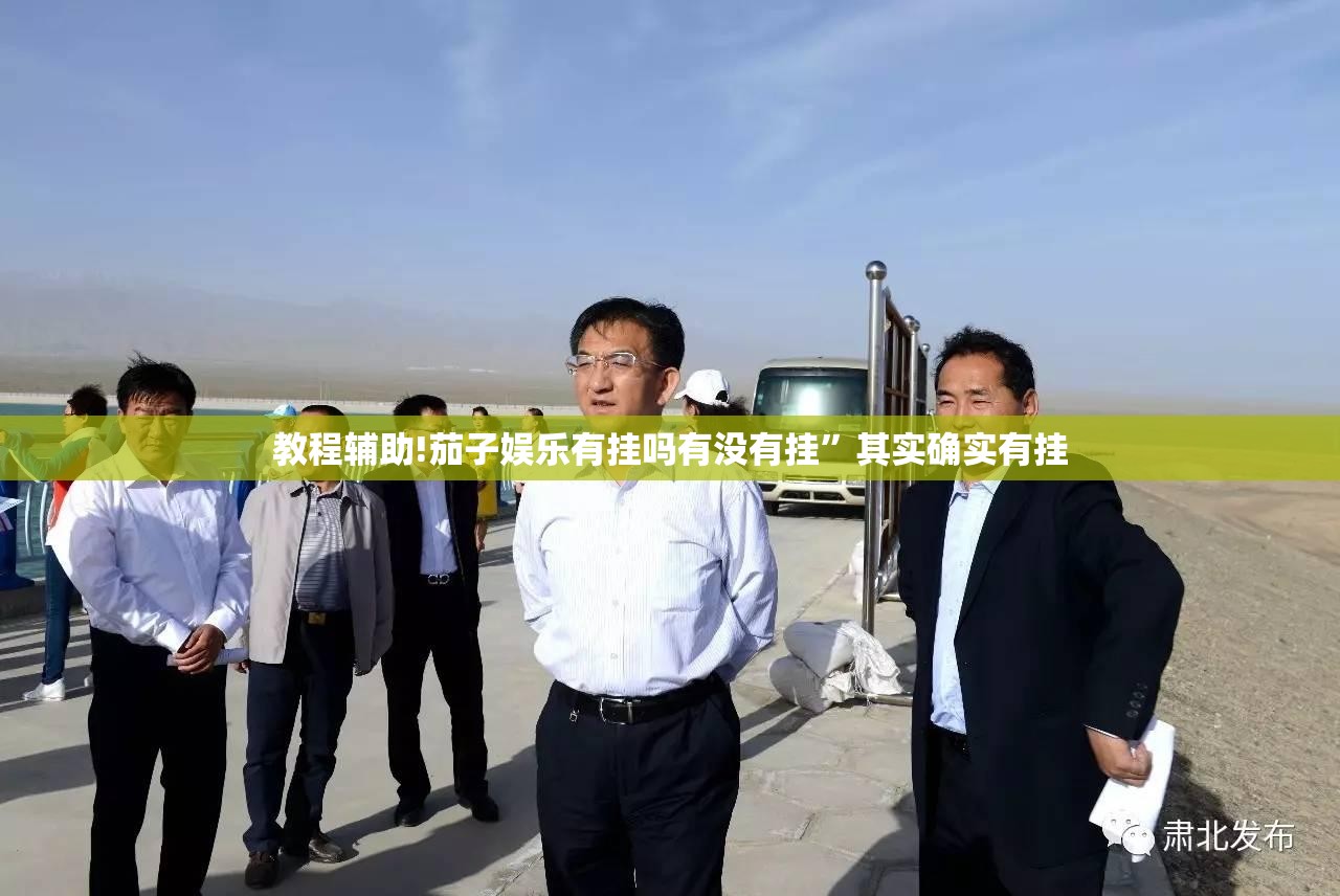 教程辅助!茄子娱乐有挂吗有没有挂	”其实确实有挂